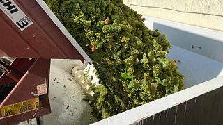 Cata de vinos y visita guiada en Chiorri
