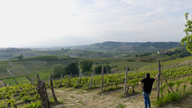 Azienda Agricola Rinaldi Vini