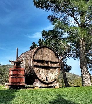 Cata de vinos y visita guiada en Celler Martin Faixo