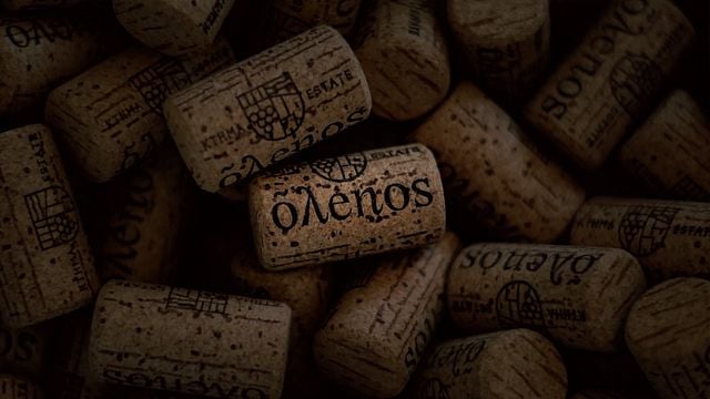 Degustação de vinhos na propriedade Olenos  
