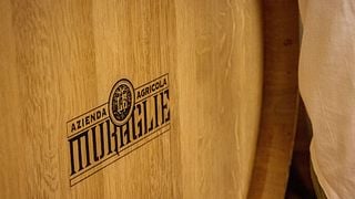 Le Muraglie: Winery tour & wine tasting on Lake Garda