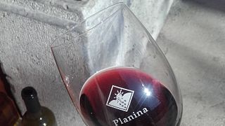 Vinprovningsupplevelse på Kletarstvo Petrič