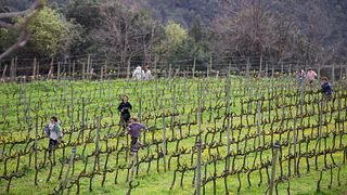 Can Calopa De Dalt Winery