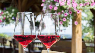 Dégustation de vins et visite du Weingut Hiden