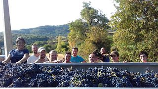 Mas d'Intras: Family-Owned Organic Winery