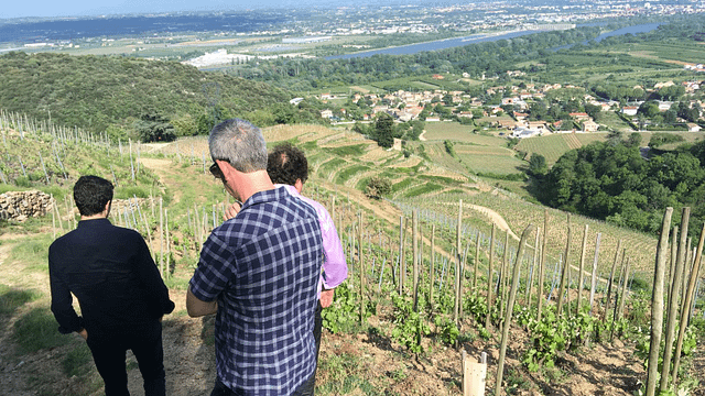 Northern Rhône Valley: Hermitage, Crozes-Hermitage, Cornas