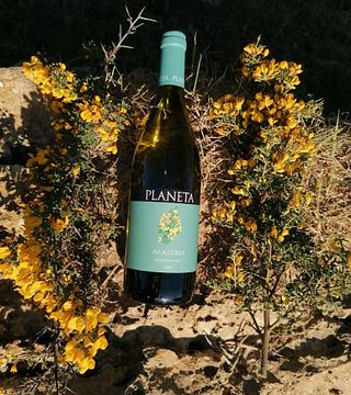 Sciaranuova Etna Winery