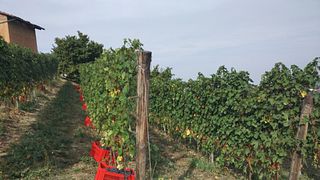 La Biòca Winery