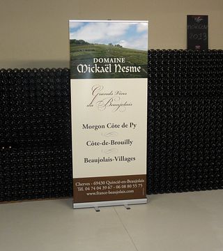 Weinprobe und Tour im Domaine Nesme