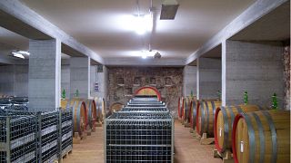 Degustação de vinhos e tour em Petrera Pasquale Di Orfino Rosa