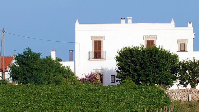 Weinprobe und Führung im Tenuta Patruno Perniola