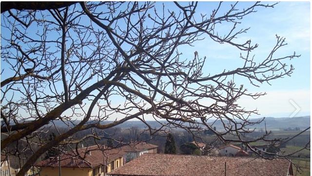 Boggero-Bogge Wine