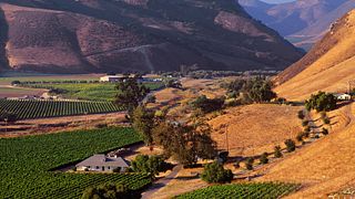 Bien Nacido & Solomon Hills Estate