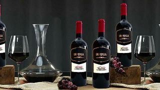 Weinprobe und Tour bei Macchia Dei Briganti