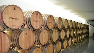 Scopri 3 generazioni di vinificazione: aromi di 4 vini eccezionali