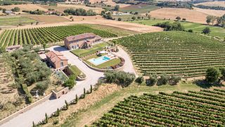 Vinprovning och lunch i hjärtat av Toscana
