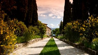 Tour dell'azienda vinicola con cena a degustazione alla Fattoria Lavacchio