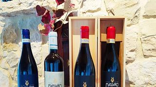 Weinprobe mit Kellerbesichtigung bei Azienda Agricola Massaro Norma