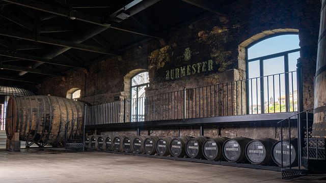 Degustazione di vini e visita alla cantina Burmester