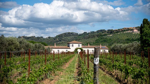 Tenuta Campo al Signore