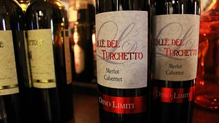 Explore Lazio’s Wine & Cellar Journey