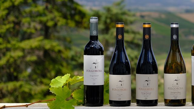 Sensation de l'Atlantique : Profitez d'une visite de vignoble et d'une dégustation de 3 vins accompagnés de fromages locaux 