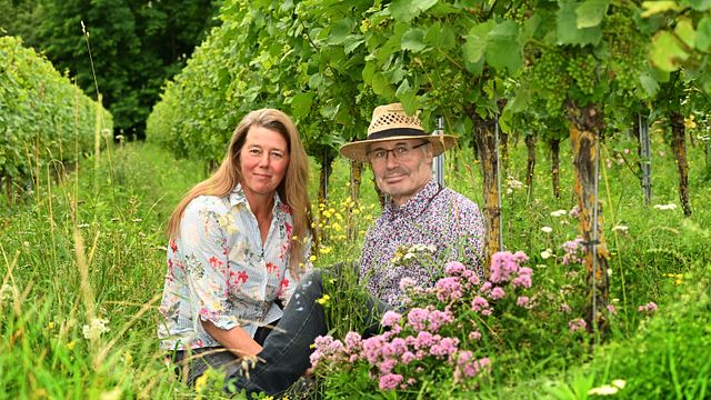 Dégustation de vins biologiques et biodynamiques