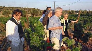 Dégustation de vins et visite chez la famille Georgas