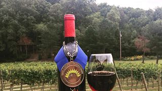 Bear Claw Vineyards & Winery