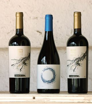 Clos De Luz Winery
