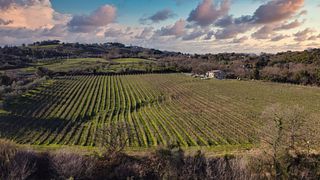 Tenuta di Gramineta