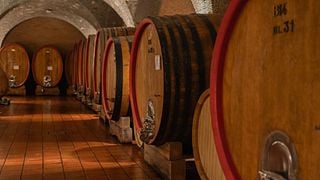 Montalcino: Visita a la bodega y cata vertical de Brunello Gourmet