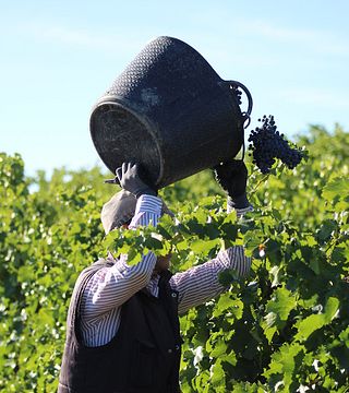 Bodegas Bagordi