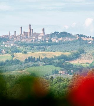 La Roccaia Winery
