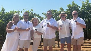 Cata de vinos y visita guiada en Optima