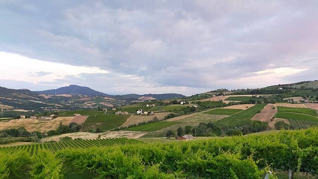 Weinprobe und Führung in der Azienda Agricola Biologica Sgaly Di Tommaso Sgalippa