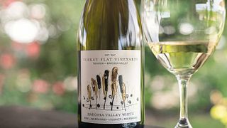 Degustazione di vini popolare nei vigneti di Turkey Flat