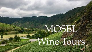 Tour privato: Mosel Magic - Vini, vigneti e tenute