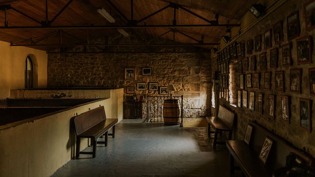 Visita guiada e degustação de vinhos