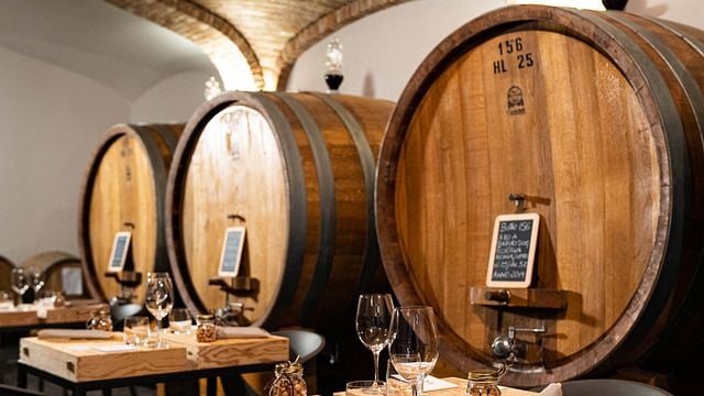 Le Nostre Langhe-Verkostung in Morra Diego
