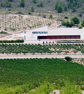 Degustação de vinhos e tour nas Bodegas Sierra Salinas