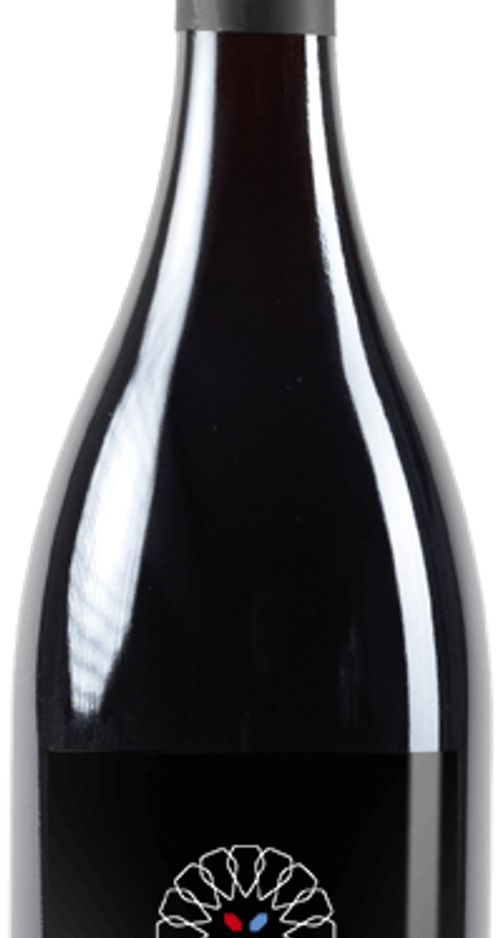 Pinot Noir