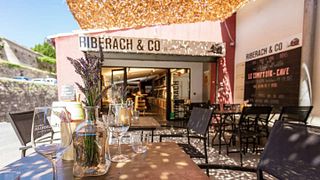Wine Safari al Domaine Riberach