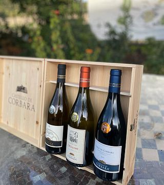 Enjoy Umbria Wines on a Scenic Vineyard Tour