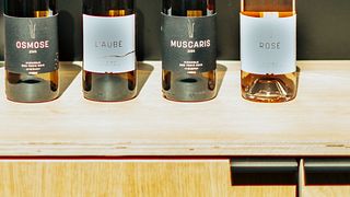 Degustazione di vini e tour dei vigneti