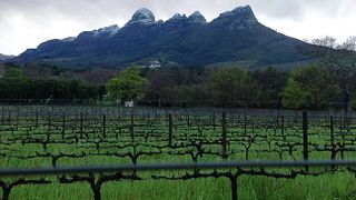 Ken Forrester Wines