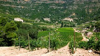 Dégustation de vins et visite à Ametller