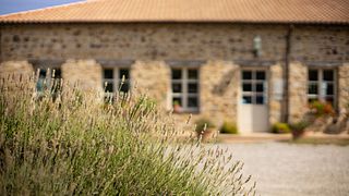Montalcino: Backstage Brunello & Gourmet-Wein- und Essensverkostung