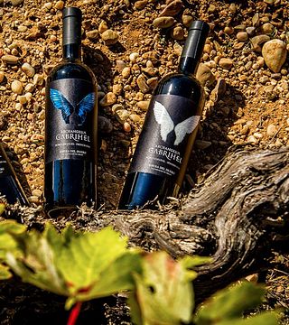 Degustazione di vini e visita alla Bodega Astil