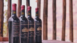 Weinprobe und Tour bei Azienda Agricola Villanoviana